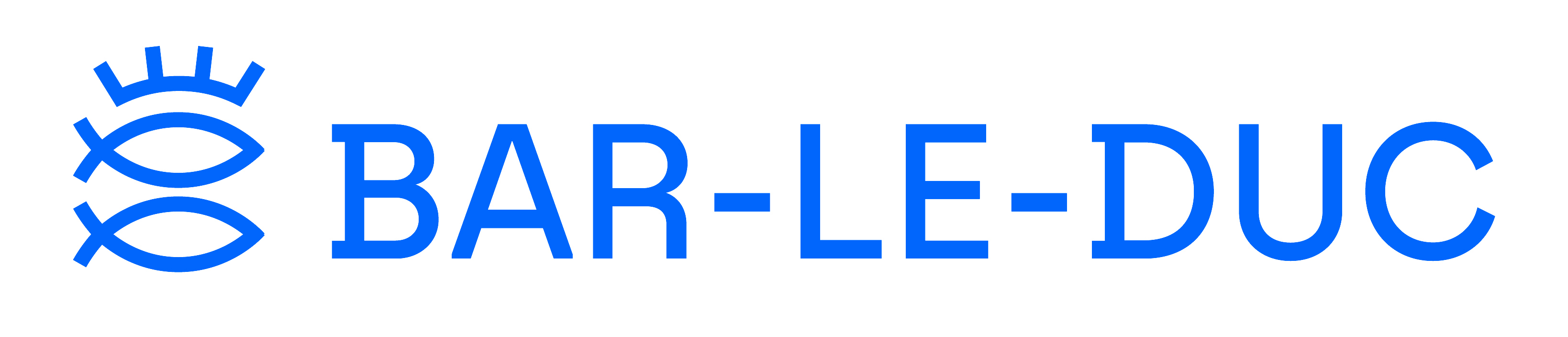 Ville de Bar-le-Duc